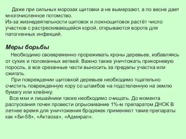 Даже при сильных морозах щитовки а не вымерзают, а по