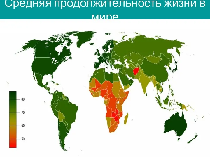 Средняя продолжительность жизни в мире