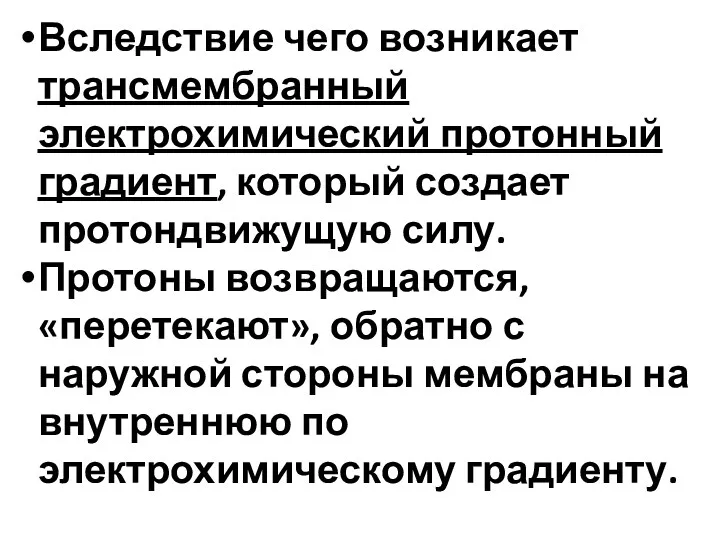 Вследствие чего возникает трансмембранный электрохимический протонный градиент, который создает протондвижущую