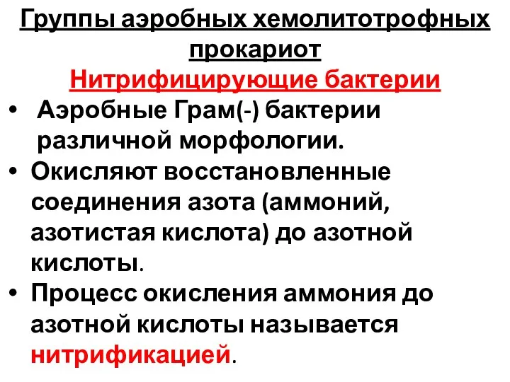 Группы аэробных хемолитотрофных прокариот Нитрифицирующие бактерии Аэробные Грам(-) бактерии различной