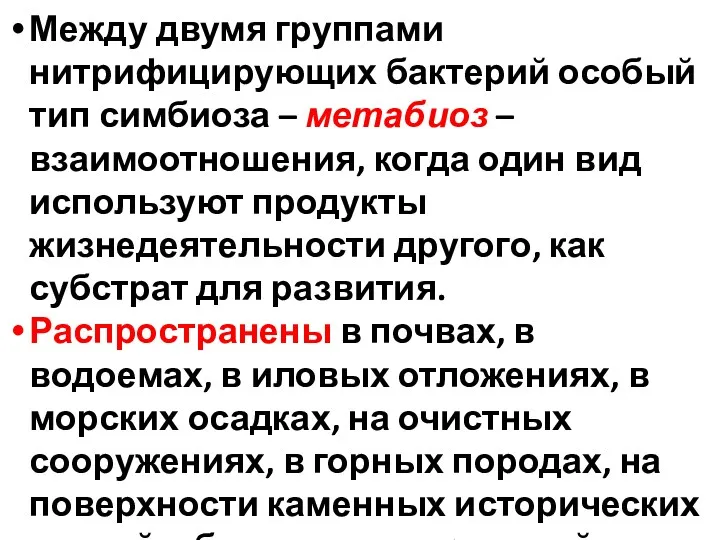 Между двумя группами нитрифицирующих бактерий особый тип симбиоза – метабиоз