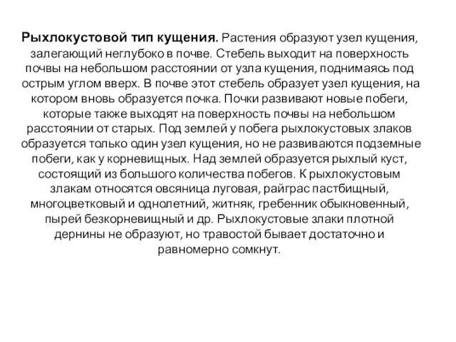 Рыхлокустовой тип кущения. Растения образуют узел кущения, залегающий неглубоко в