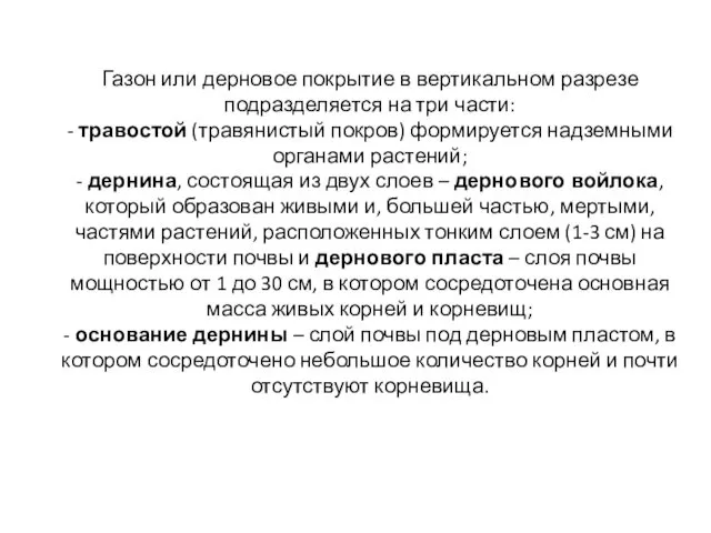 Газон или дерновое покрытие в вертикальном разрезе подразделяется на три