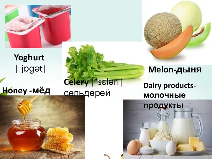 Yoghurt |ˈjɒɡət| Celery |ˈsɛləri| сельдерей Melon-дыня Honey -мёд Dairy products- молочные продукты