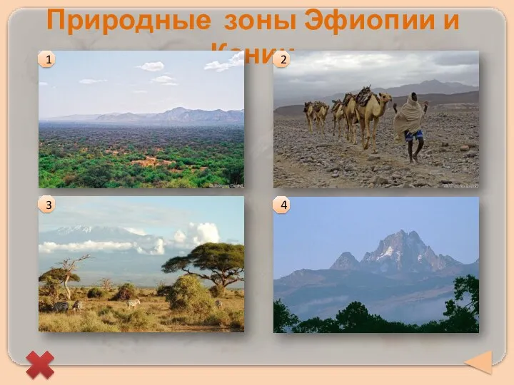 Природные зоны Эфиопии и Кении 1 2 3 4
