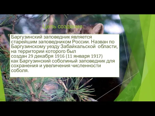 Цель создания: Баргузинский заповедник является старейшим заповедником России. Назван по Баргузинскому уезду Забайкальской