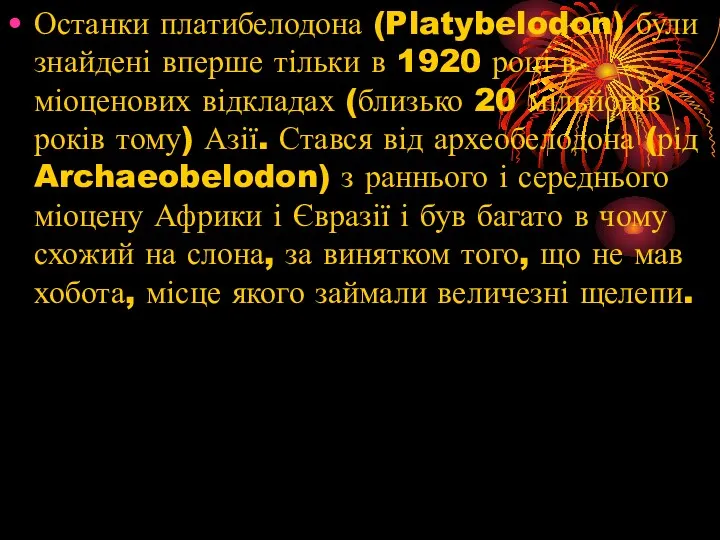 Останки платибелодона (Platybelodon) були знайдені вперше тільки в 1920 році