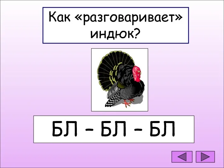 Как «разговаривает» индюк? Как «разговаривает» индюк? БЛ – БЛ – БЛ