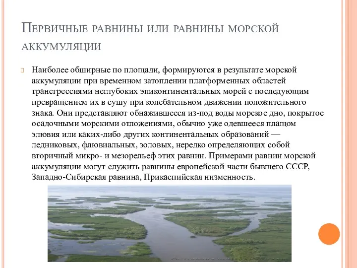 Первичные равнины или равнины морской аккумуляции Наиболее обширные по площади,