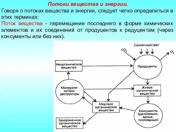 Потоки вещества и энергии. Говоря о потоках вещества и энергии,