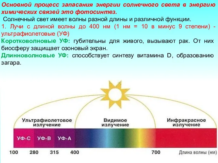 Основной процесс запасания энергии солнечного света в энергию химических связей