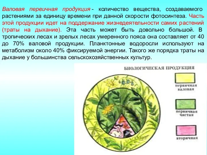 Валовая первичная продукция - количество вещества, создаваемого растениями за единицу