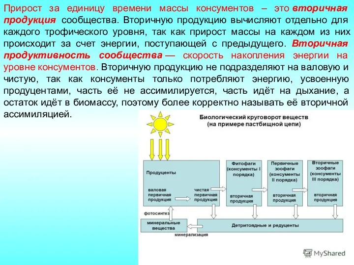 Прирост за единицу времени массы консументов – это вторичная продукция