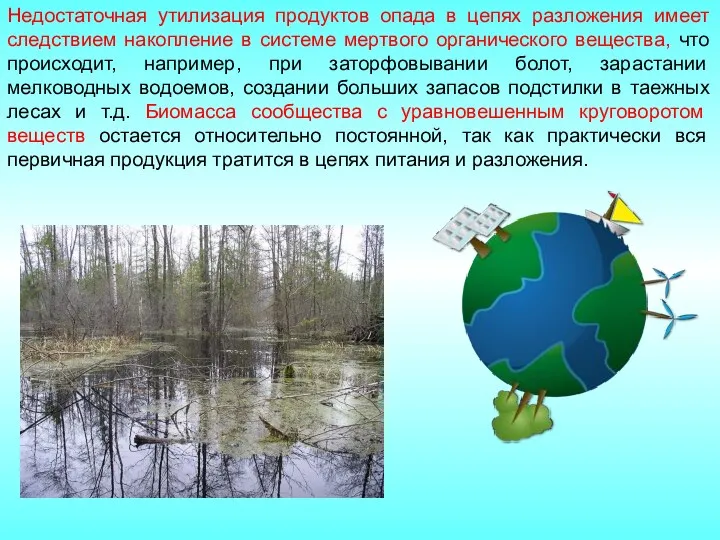 Недостаточная утилизация продуктов опада в цепях разложения имеет следствием накопление