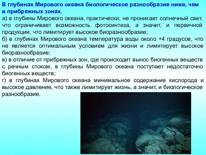 В глубинах Мирового океана биологическое разнообразие ниже, чем в прибрежных