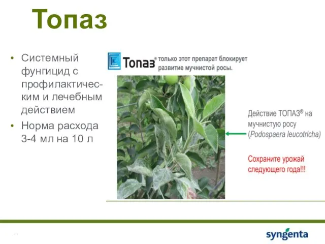 Топаз Системный фунгицид с профилактичес-ким и лечебным действием Норма расхода 3-4 мл на 10 л