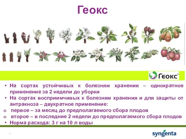 Геокс На сортах устойчивых к болезням хранения – однократное применение