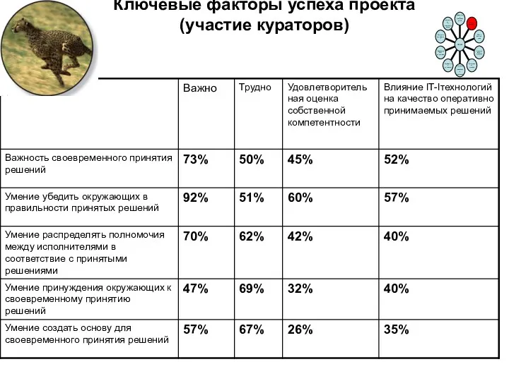 Ключевые факторы успеха проекта (участие кураторов)