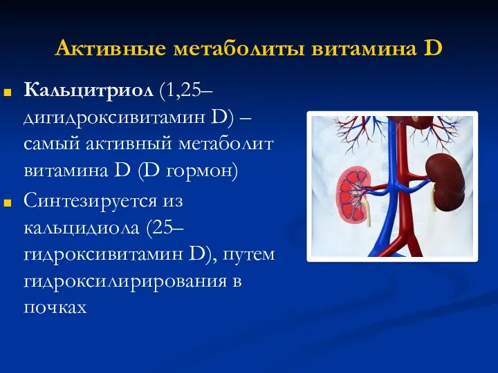 Активные метаболиты витамина D Кальцитриол (1,25–дигидроксивитамин D) – самый активный