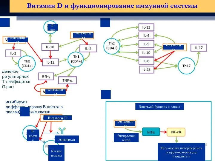 Витамин D Витамин D Витамин D Витамин D Витамин D