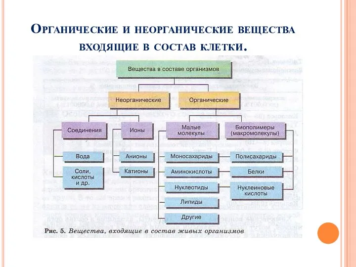 Органические и неорганические вещества входящие в состав клетки.