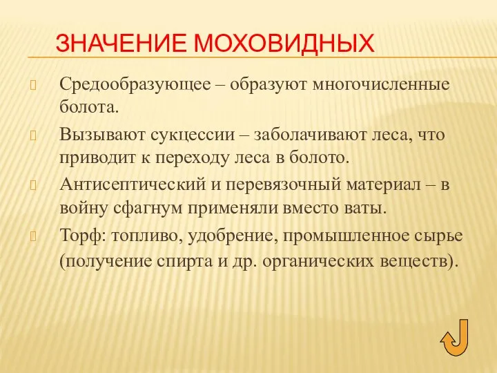 ЗНАЧЕНИЕ МОХОВИДНЫХ Средообразующее – образуют многочисленные болота. Вызывают сукцессии –