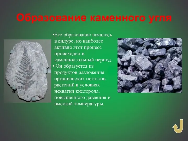 Его образование началось в силуре, но наиболее активно этот процесс