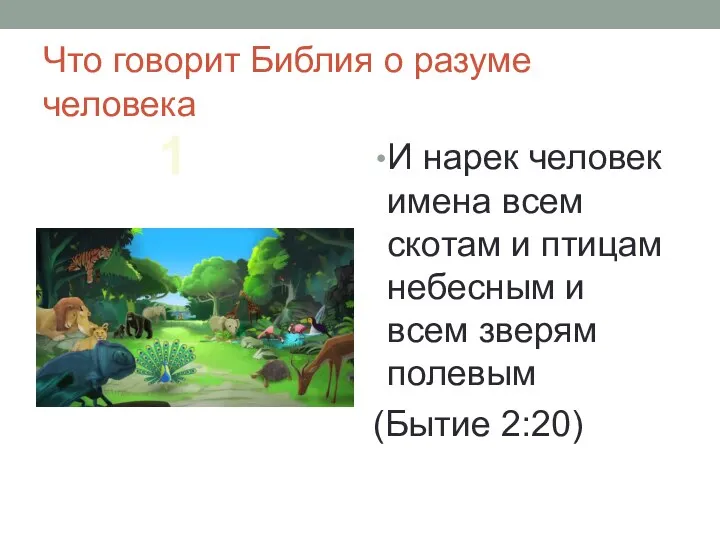 Что говорит Библия о разуме человека И нарек человек имена всем скотам и