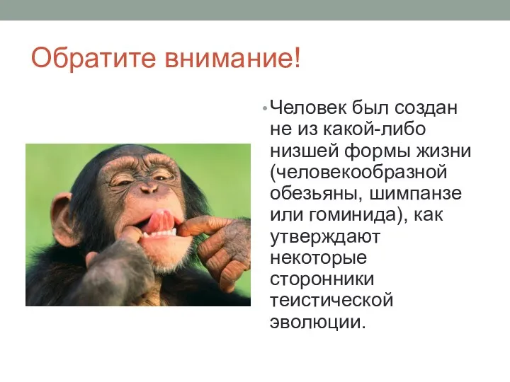 Обратите внимание! Человек был создан не из какой-либо низшей формы жизни (человекообразной обезьяны,