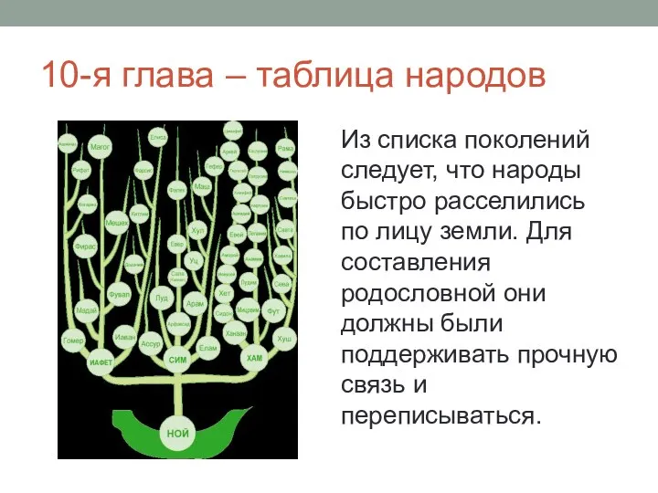 10-я глава – таблица народов Из списка поколений следует, что народы быстро расселились