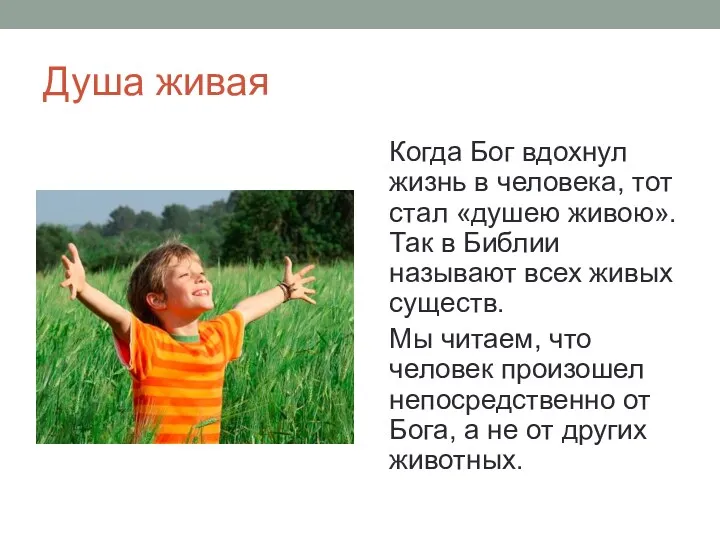 Душа живая Когда Бог вдохнул жизнь в человека, тот стал «душею живою». Так