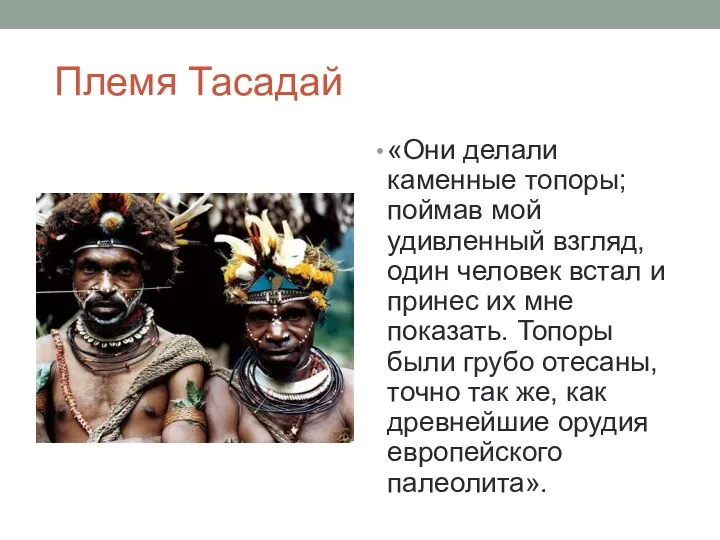 Племя Тасадай «Они делали каменные топоры; поймав мой удивленный взгляд, один человек встал