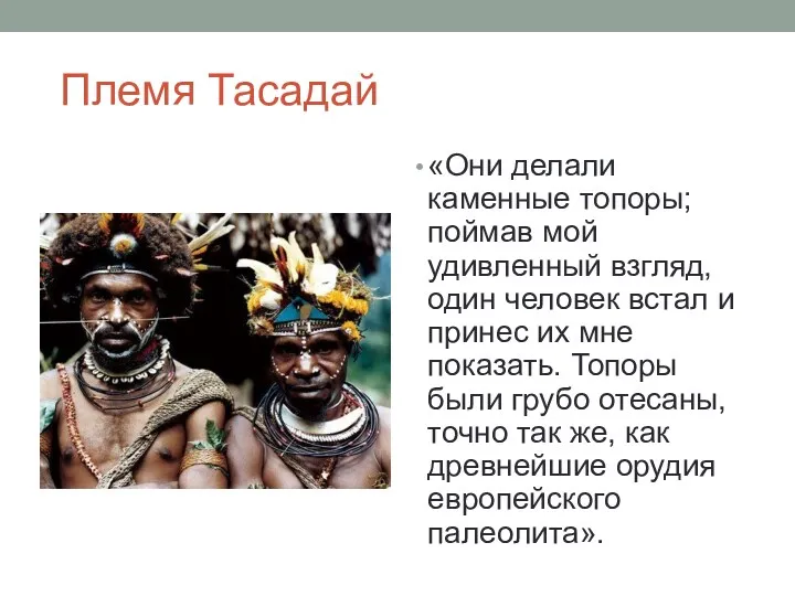 Племя Тасадай «Они делали каменные топоры; поймав мой удивленный взгляд,