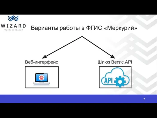 Варианты работы в ФГИС «Меркурий» Веб-интерфейс Шлюз Ветис.API