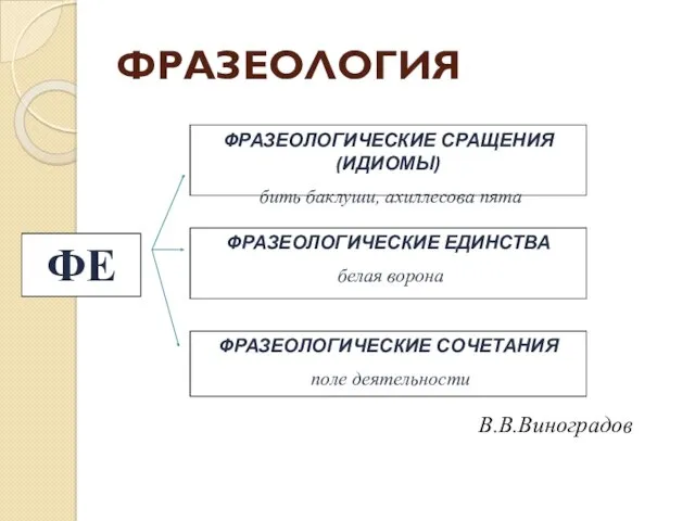 ФРАЗЕОЛОГИЯ ФРАЗЕОЛОГИЧЕСКИЕ СРАЩЕНИЯ (ИДИОМЫ) бить баклуши, ахиллесова пята ФРАЗЕОЛОГИЧЕСКИЕ ЕДИНСТВА