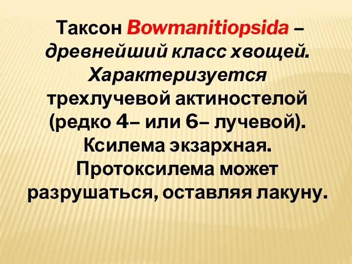 Таксон Bowmanitiopsida – древнейший класс хвощей. Характеризуется трехлучевой актиностелой (редко 4– или 6–
