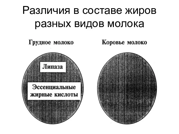 Различия в составе жиров разных видов молока