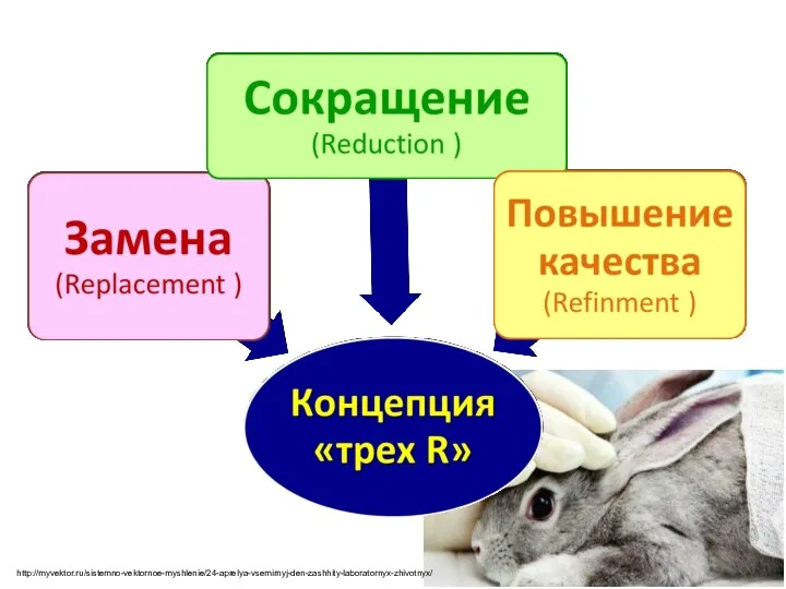 http://myvektor.ru/sistemno-vektornoe-myshlenie/24-aprelya-vsemirnyj-den-zashhity-laboratornyx-zhivotnyx/