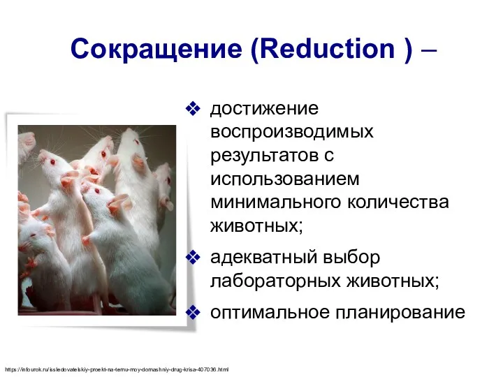 достижение воспроизводимых результатов с использованием минимального количества животных; адекватный выбор