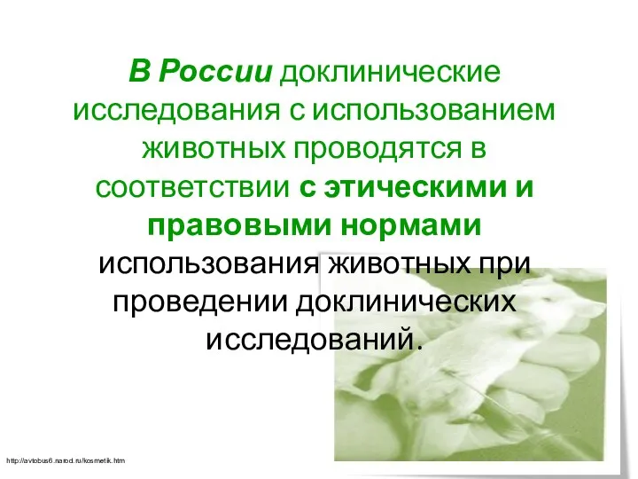 В России доклинические исследования с использованием животных проводятся в соответствии с этическими и