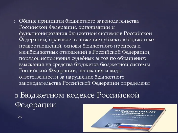 Общие принципы бюджетного законодательства Российской Федерации, организации и функционирования бюджетной