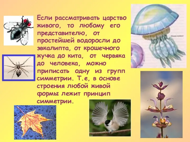 Если рассматривать царство живого, то любому его представителю, от простейшей