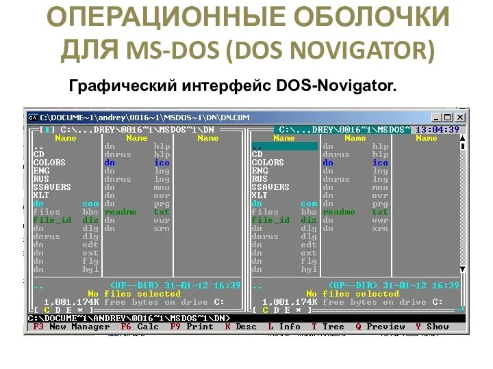 ОПЕРАЦИОННЫЕ ОБОЛОЧКИ ДЛЯ MS-DOS (DOS NOVIGATOR) Графический интерфейс DOS-Novigator.