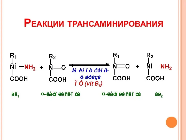 Реакции трансаминирования