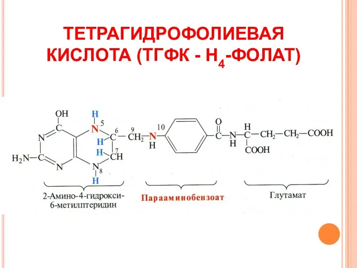 ТЕТРАГИДРОФОЛИЕВАЯ КИСЛОТА (ТГФК - Н4-ФОЛАТ)