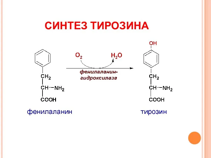 СИНТЕЗ ТИРОЗИНА