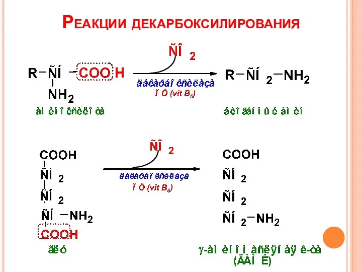 Реакции декарбоксилирования