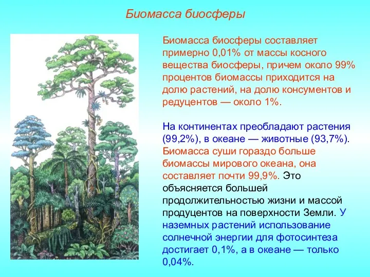 Биомасса биосферы Биомасса биосферы составляет примерно 0,01% от массы косного вещества биосферы, причем