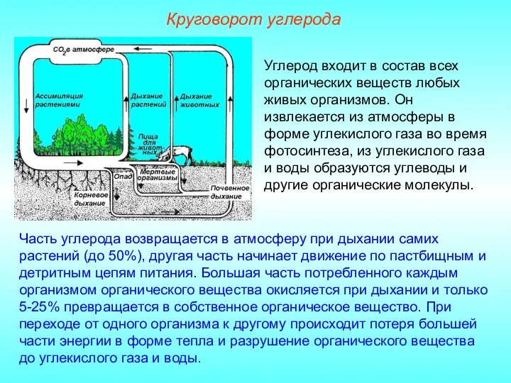 Углерод входит в состав всех органических веществ любых живых организмов. Он извлекается из