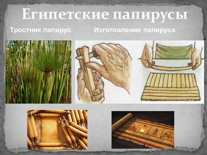 Египетские папирусы Тростник папирус Изготовление папируса